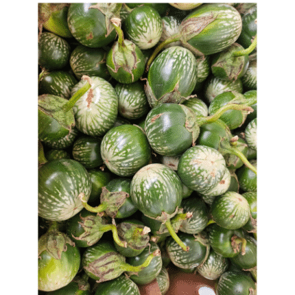 มะเขือ ครึ่งโล Eggplant Green 500g.