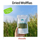 Suszona Wolffia 100%