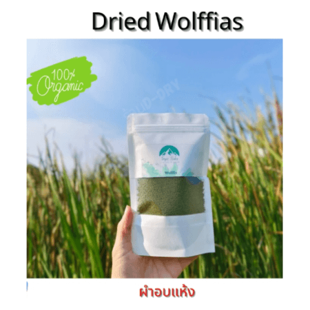 ผำอบแห้ง40G.ผำ โปรตีนพืช dried Wolffia 100% (plant protein)