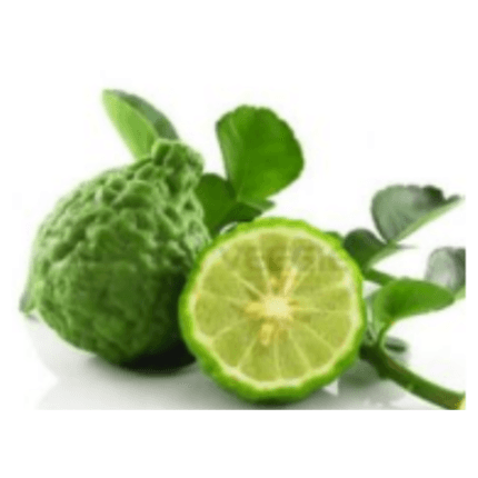 ลูกมะกรูดสด Kaffir Lime In Tray 100G,