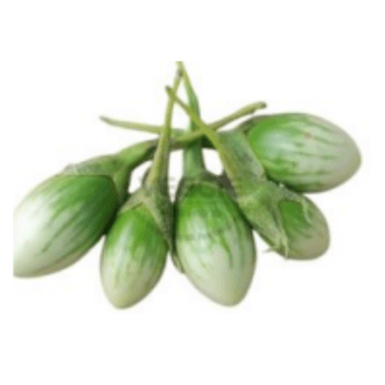 มะเขือเปราะเล็ก Eggplant Green Oval Stripe 100G,