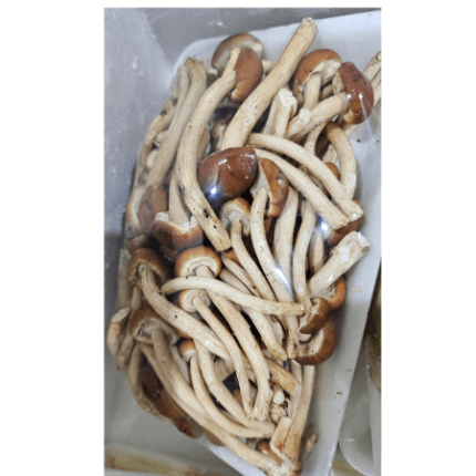 เห็ดโคน200g,termitomyces mushroom