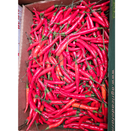 พริกแดงสด ครึ่งโล-Chilli red 500g.