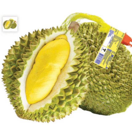 ทุเรียนหมอนทองแช่แข็ง Whole Monthong Durian Fruit BDMP 2.5-3kg.